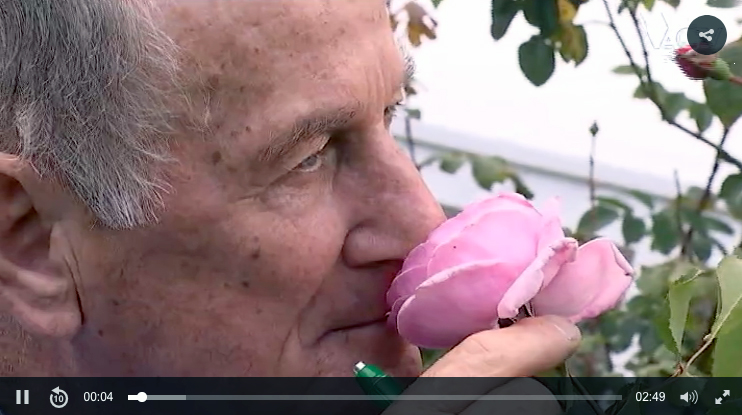 Concours de Roses 2017 - Reportage d'Antenne Centre Télévision