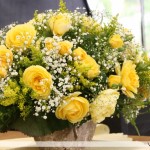Reportage ACTV : 51e Concours international de Roses nouvelles du Roeulx