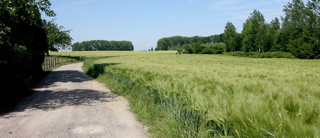 balade-gourmande-le-roeulx