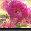 Reportage ACTV "Concours international de la Rose du Roeulx"