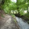 Balade automnale au fil de la Wanze