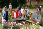 Photos et vidéos du 54e Royal Concours International de Roses Nouvelles du Roeulx