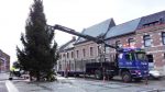 Arrivée du sapin de Noël sur la Grand’Place du Roeulx