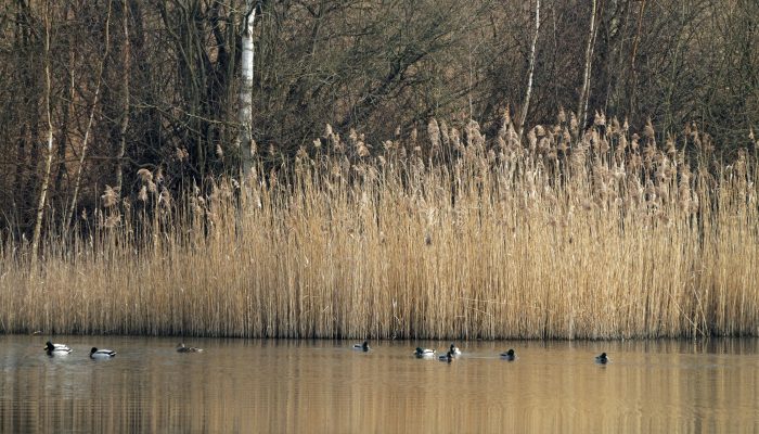 Réserve naturelle de Thieu