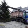 Arrivée du sapin de Noël sur la Grand’Place du Roeulx