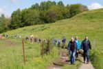 Photos et vidéo de la balade accompagnée "La Basse Wanze" de ce 12 mai