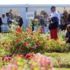 Un Royal Concours International de Roses Nouvelles du Roeulx 2019 réussi !