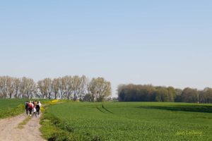 La Haye du Roeulx (Balade N° 1 - 8,5 km)