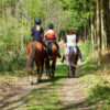 Un tout nouvel itinéraire pour les cavaliers à Mignault