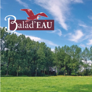 Balad’eau n°9 à Mignault (6,1 km)