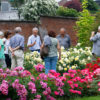 Visites guidées en juin, à la découverte des roses