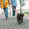 Journée du Bien-Être Animal 2026 - Balade canine le long du Canal du Centre